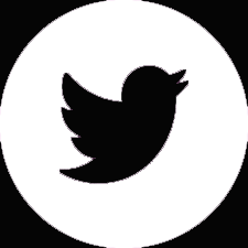 white twitter button